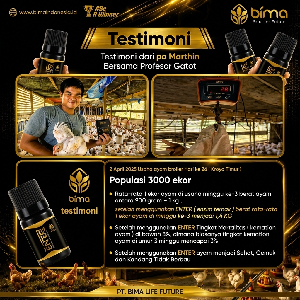 Testimoni Enter Pada Ayam
